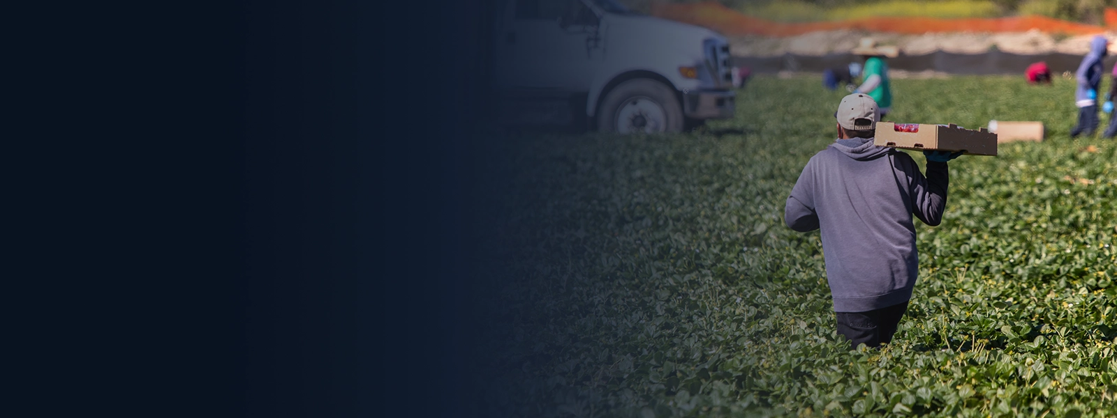 Do Undocumented Workers Qualify for Workers’ Compensation?